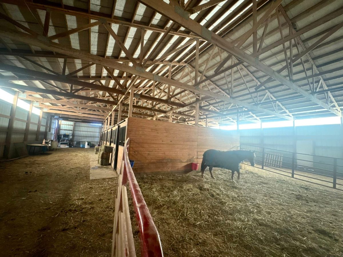 Sienna Rock Stables photo 3