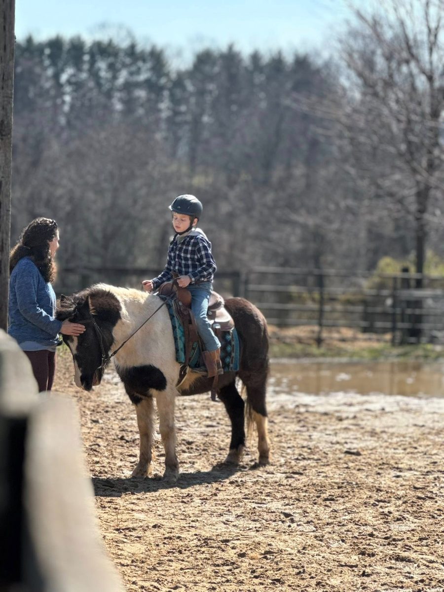 Sienna Rock Stables photo 4