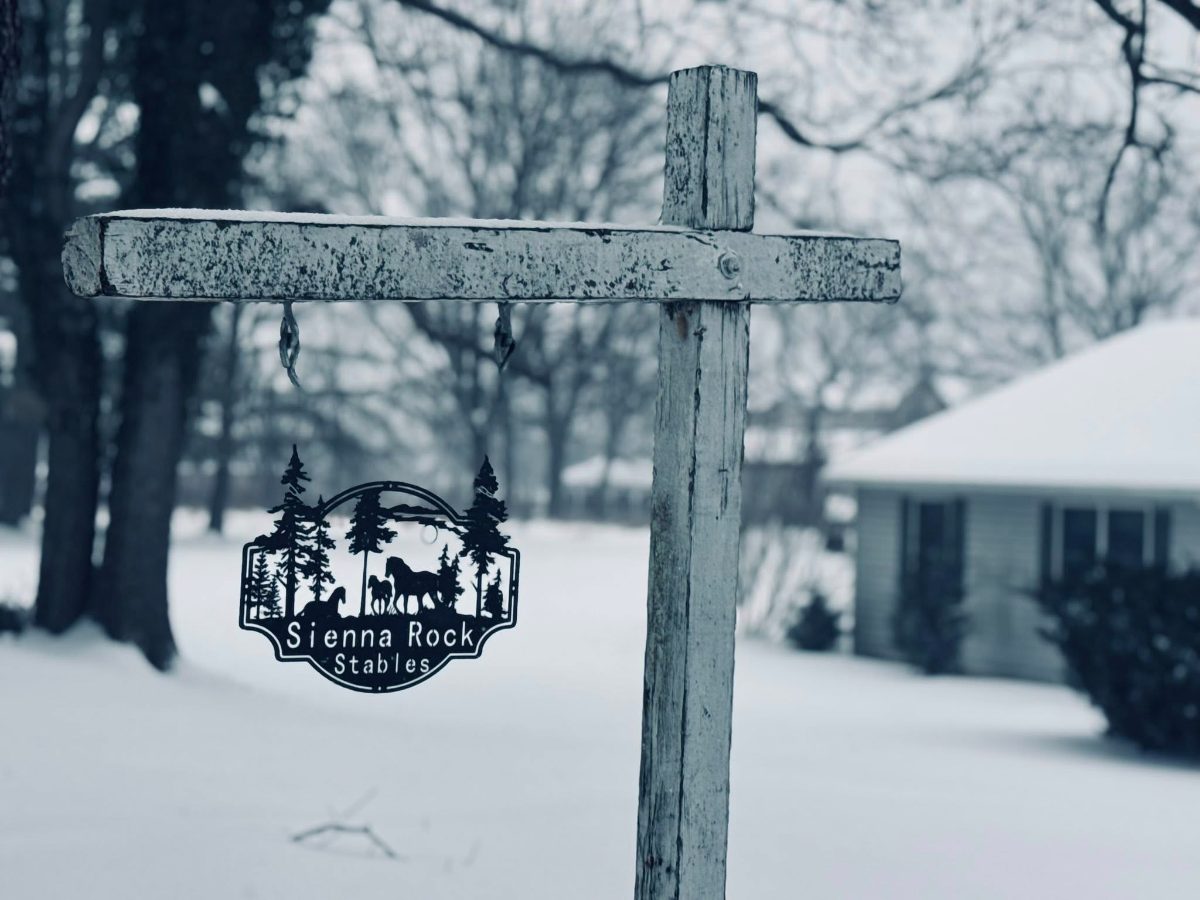 Sienna Rock Stables photo 6