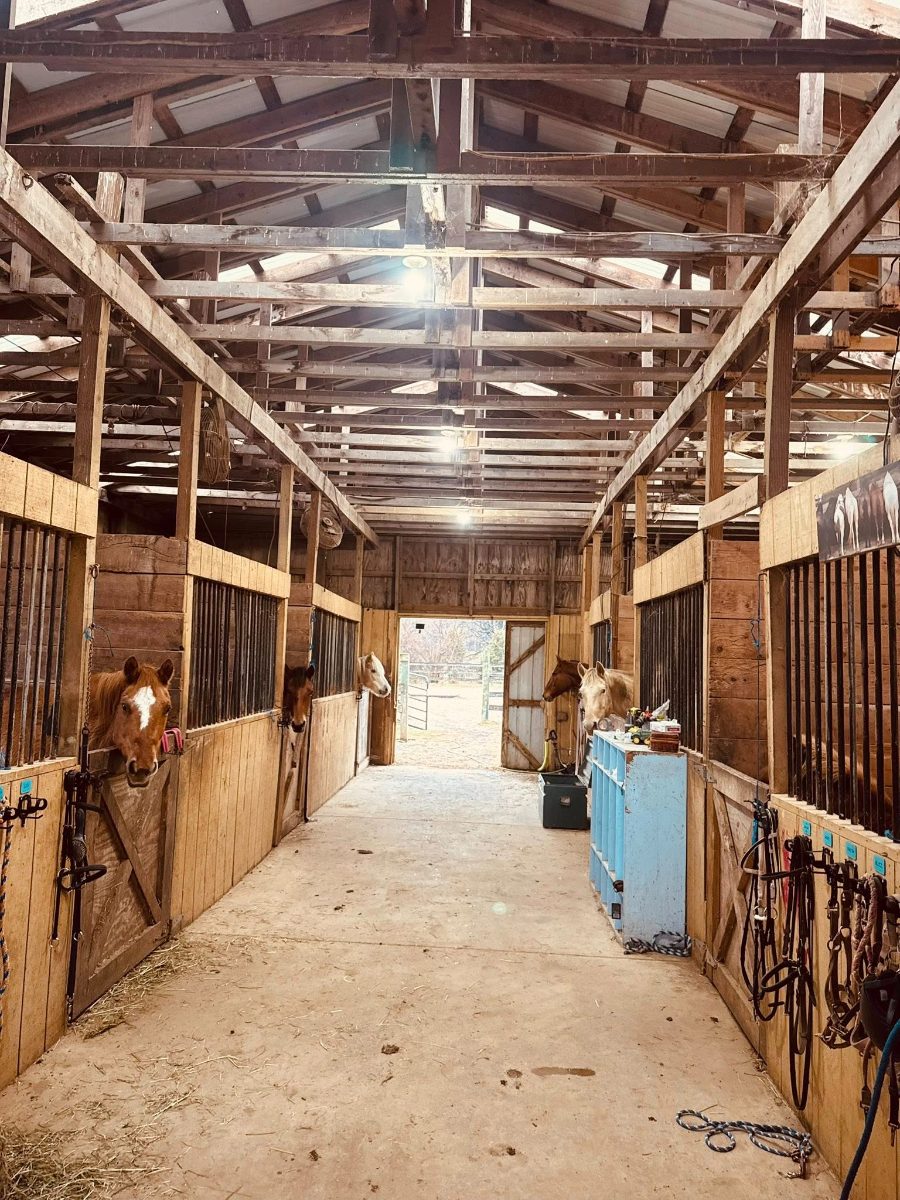 Is Horseback Riding Safe for Kids? What WV Parents Need to Know