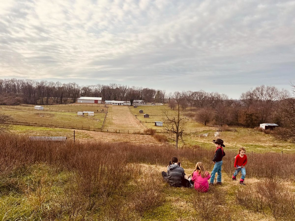 The Best Horse Trails Near Harpers Ferry, WV: A Rider's Guide