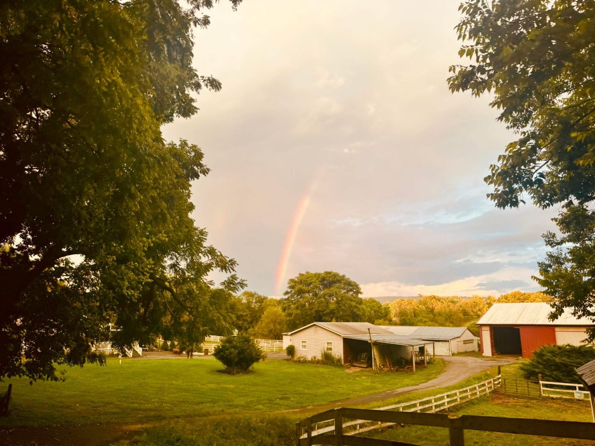 Sienna Rock Stables — photo 12