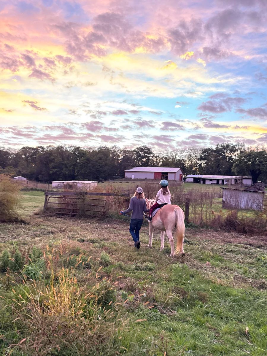 Sienna Rock Stables — photo 14