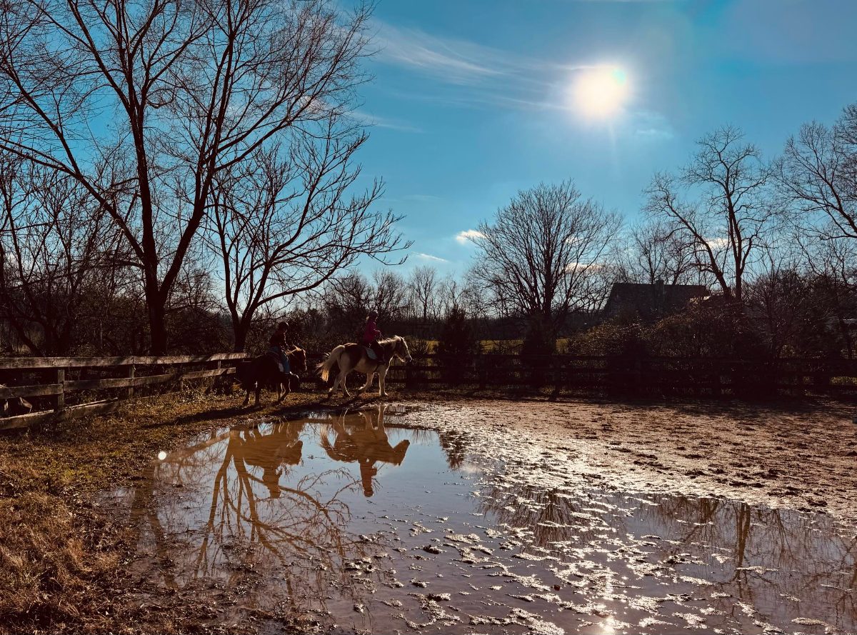 Sienna Rock Stables — photo 15