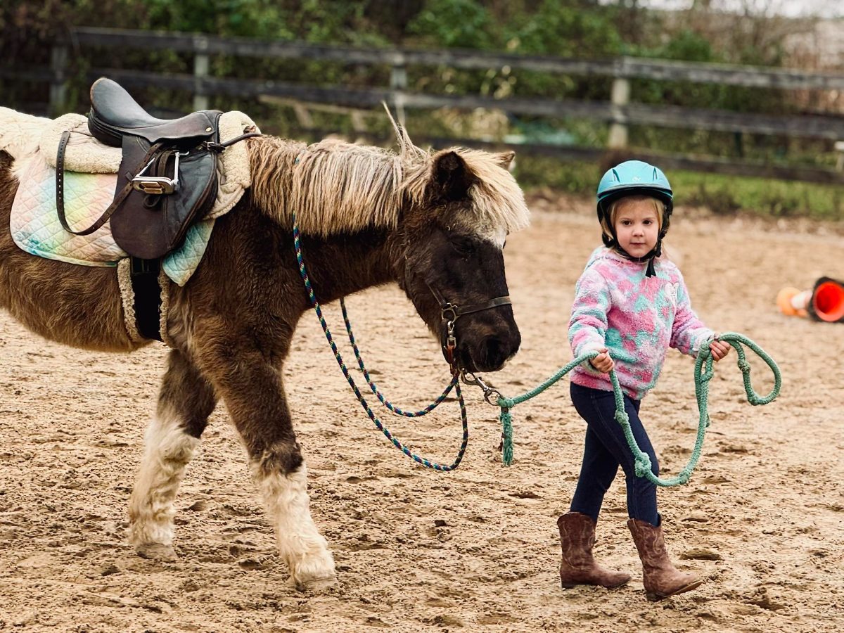 Sienna Rock Stables — photo 16