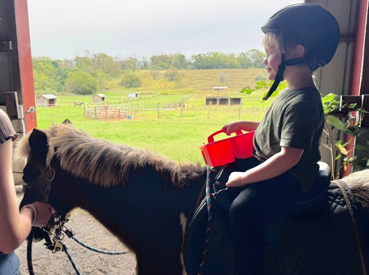 Sienna Rock Stables — photo 17