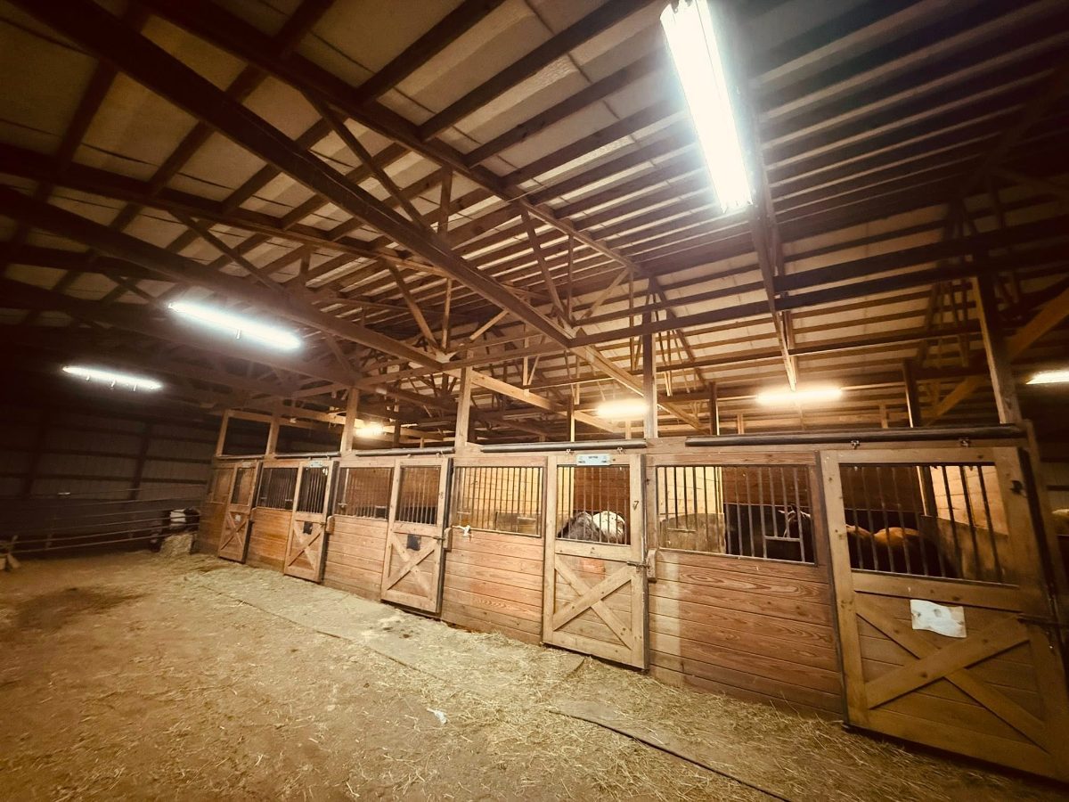 Sienna Rock Stables — photo 19