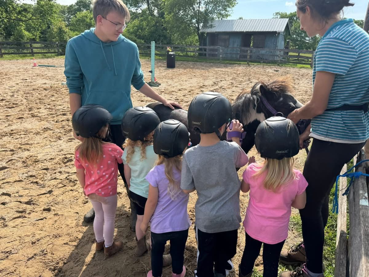 Sienna Rock Stables — photo 22