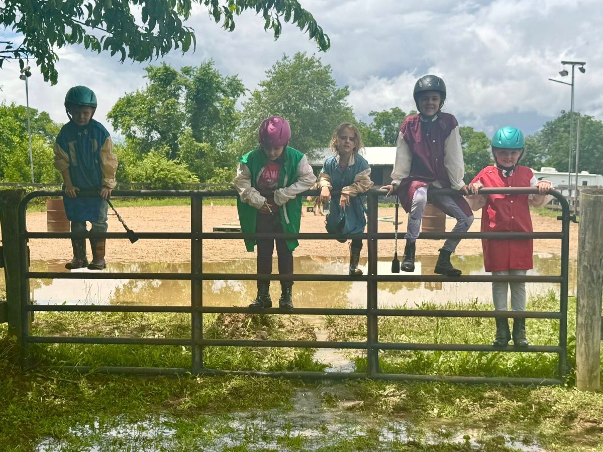 Sienna Rock Stables — photo 23