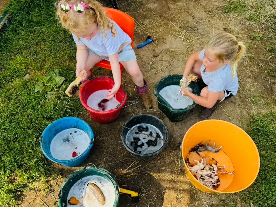 Sienna Rock Stables — photo 25