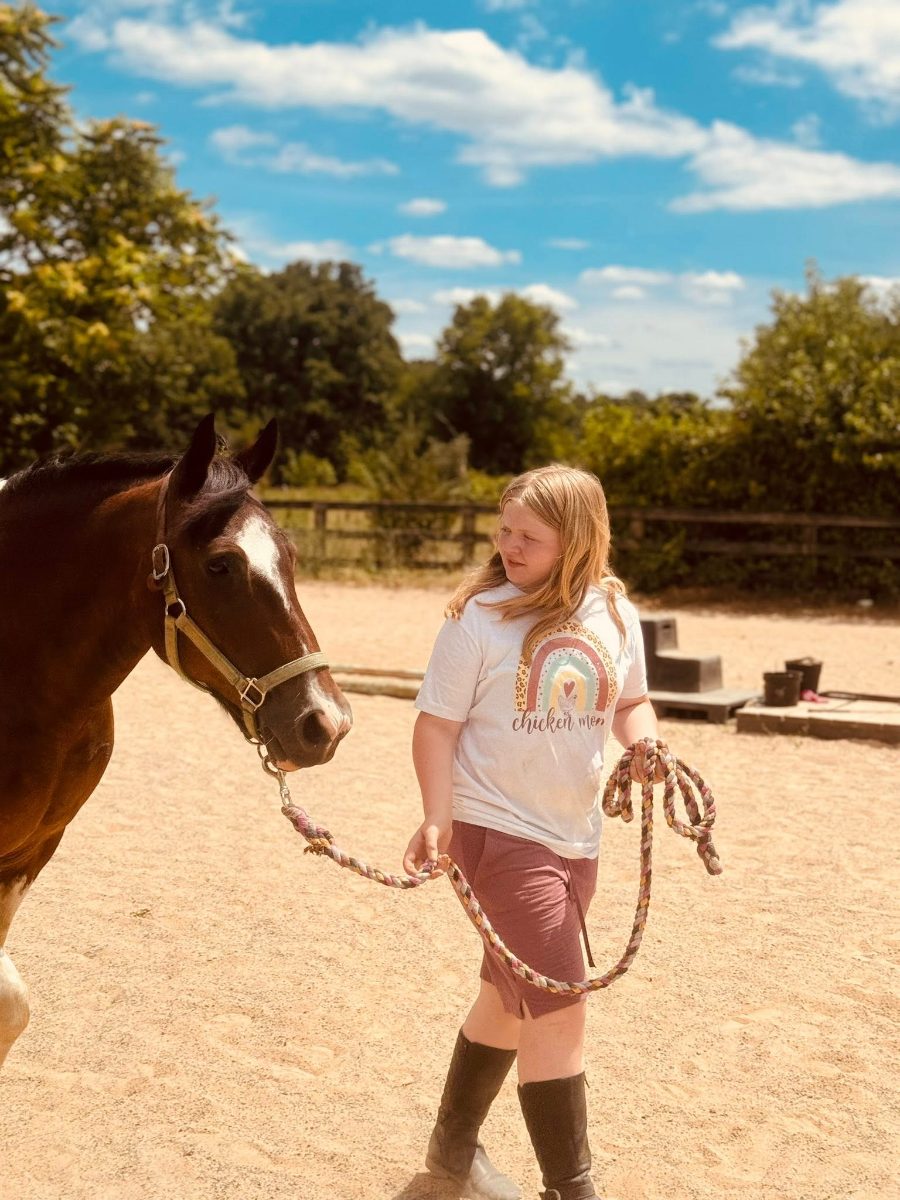 Sienna Rock Stables — photo 26