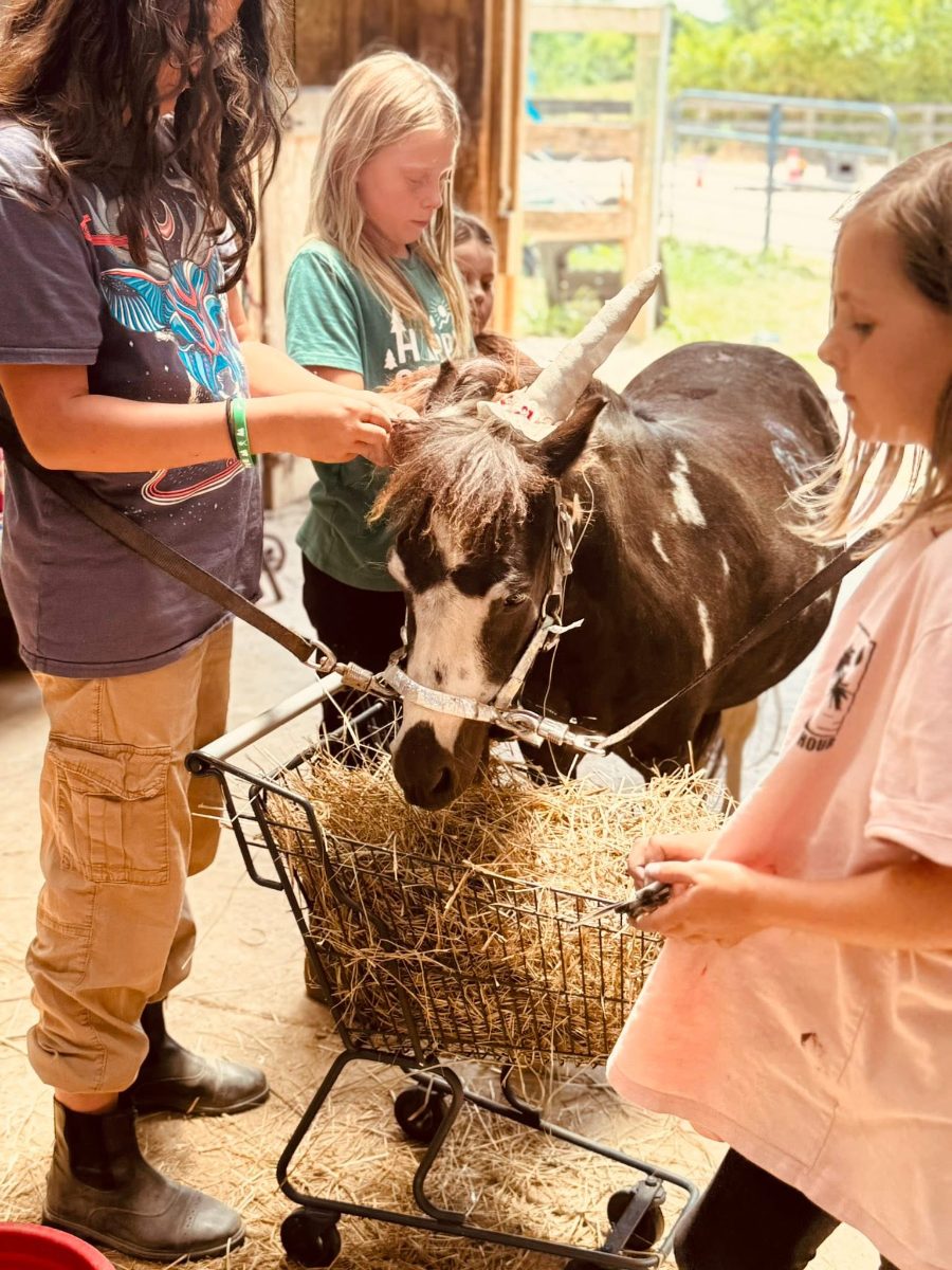 Sienna Rock Stables — photo 28