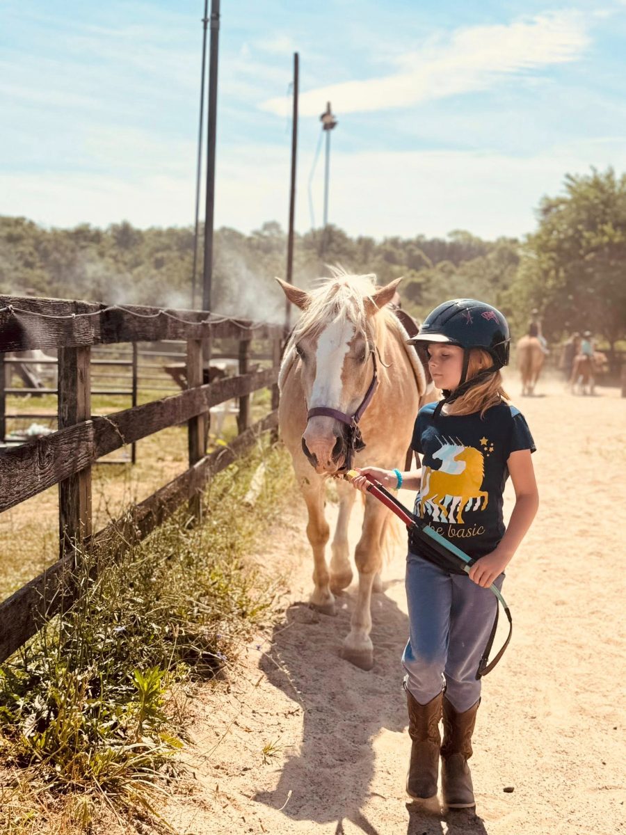 Sienna Rock Stables — photo 29