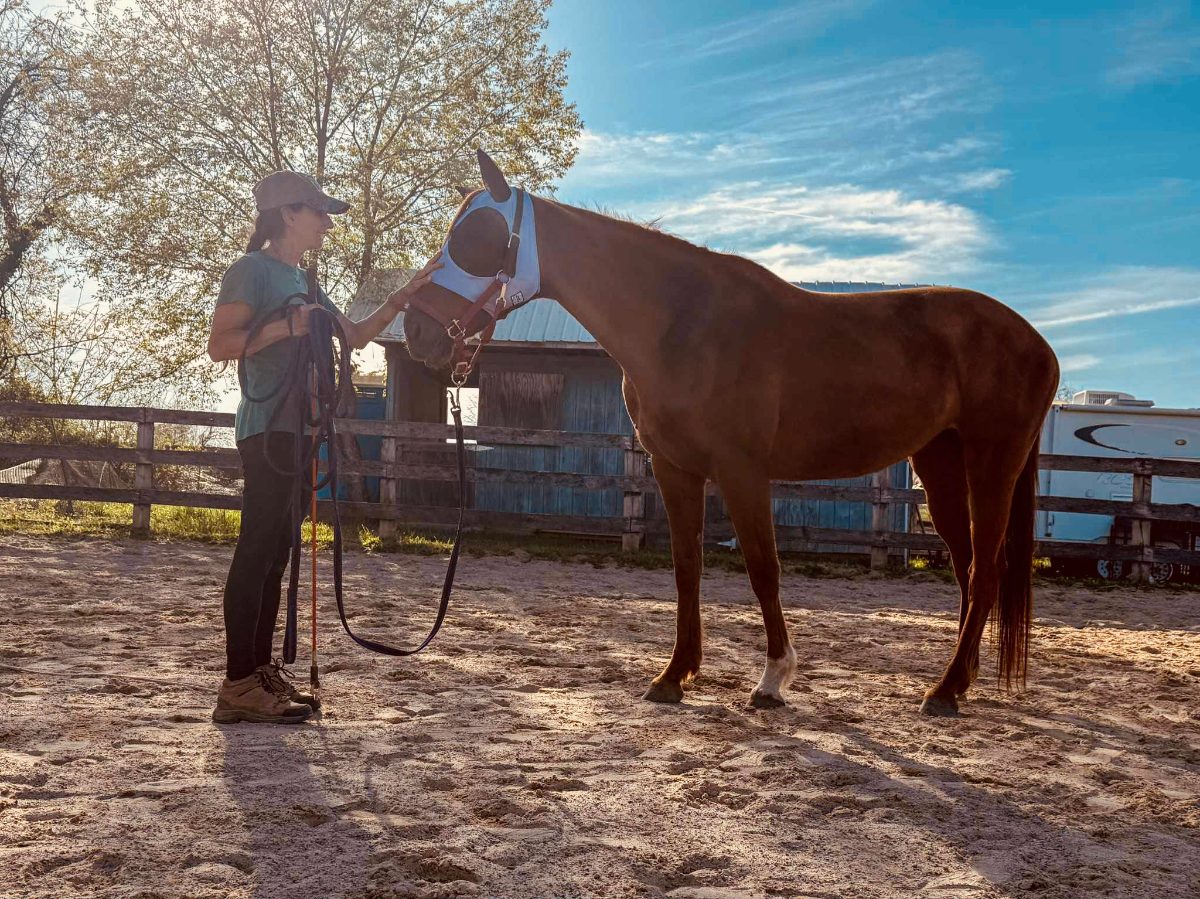 Sienna Rock Stables — photo 32