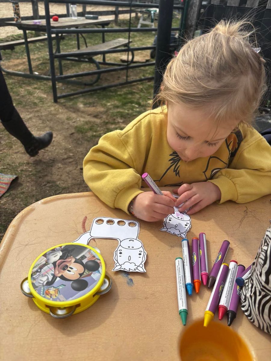 Sienna Rock Stables — photo 33