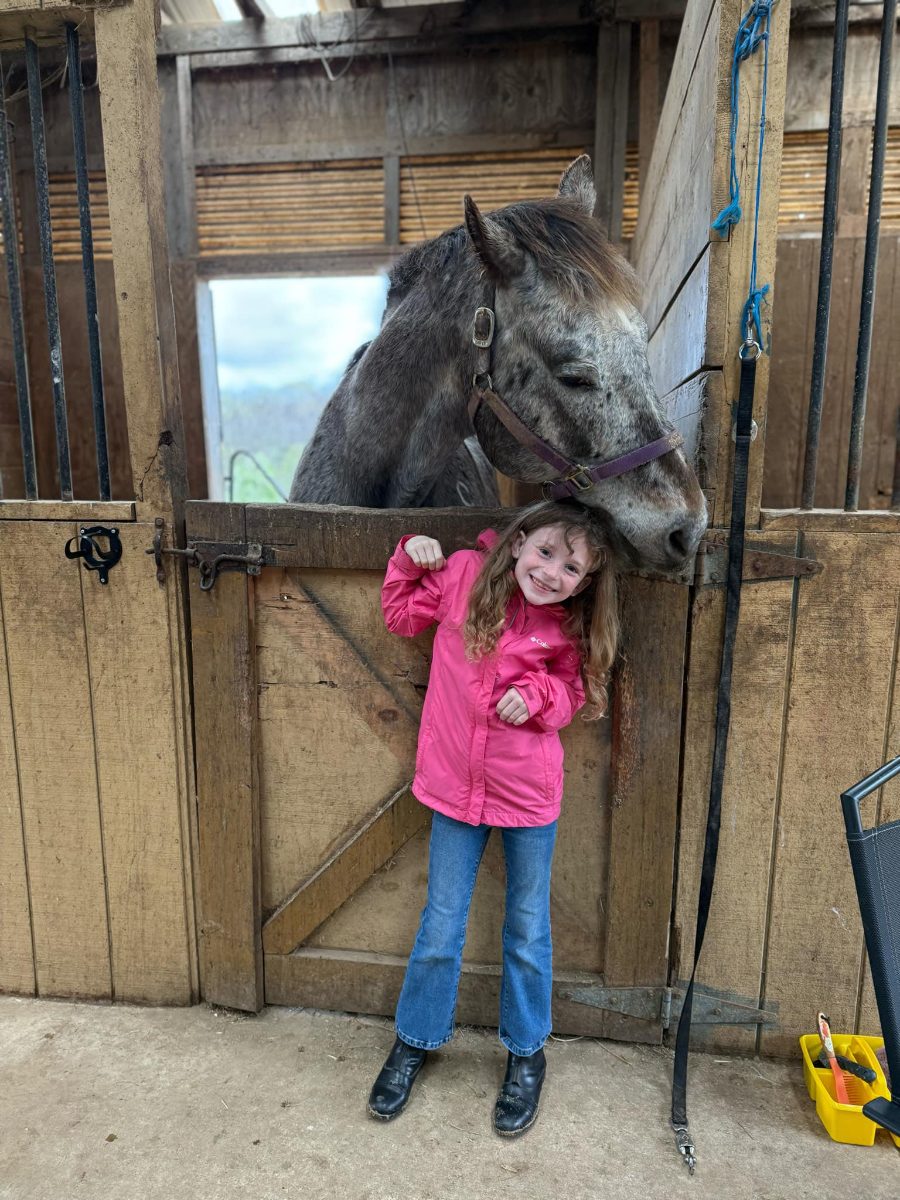 Sienna Rock Stables — photo 34