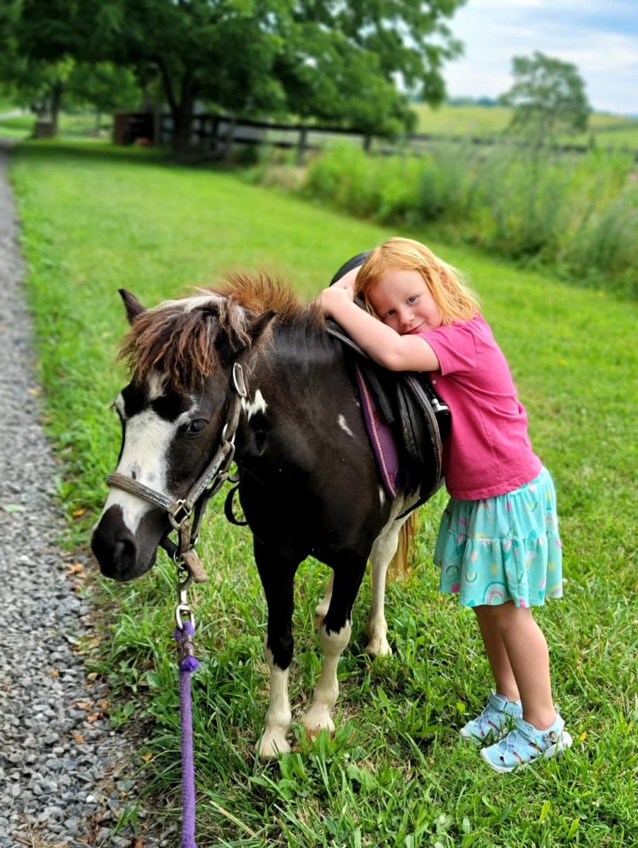 Sienna Rock Stables — photo 35