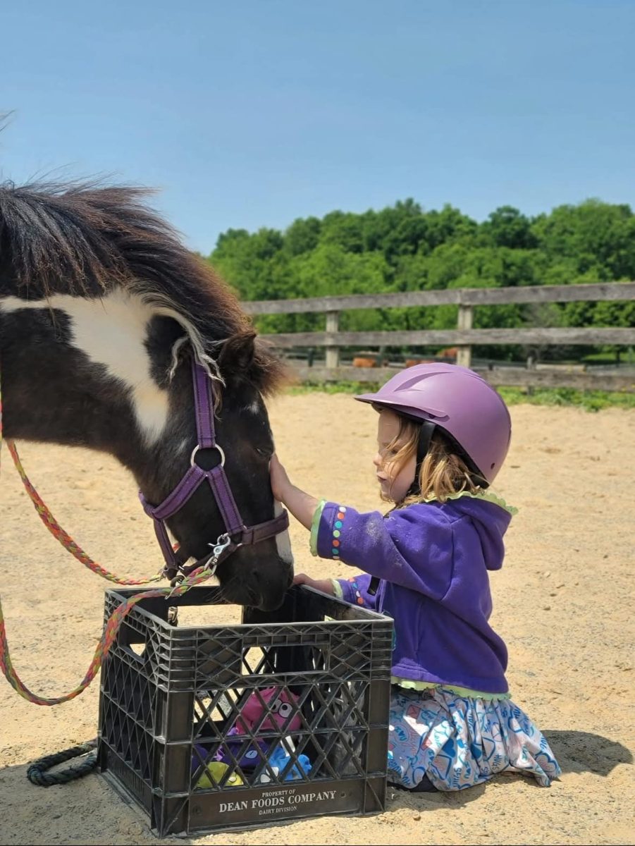 Sienna Rock Stables — photo 36