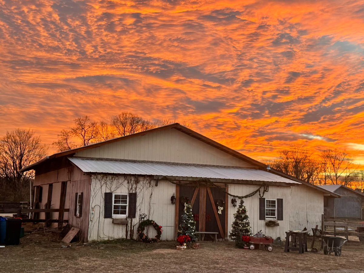 Sienna Rock Stables — photo 37