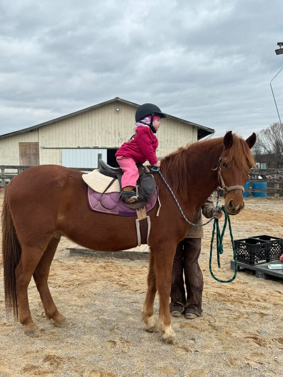 Sienna Rock Stables — photo 38