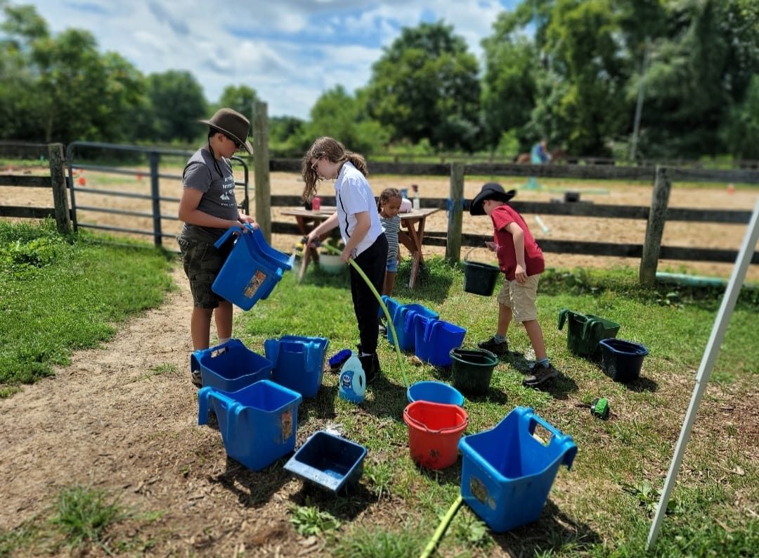Sienna Rock Stables — photo 42