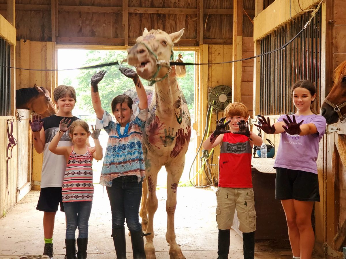 Sienna Rock Stables — photo 43