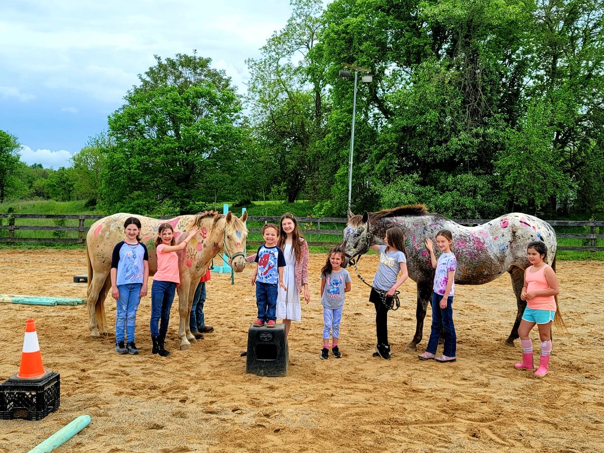 Sienna Rock Stables — photo 45