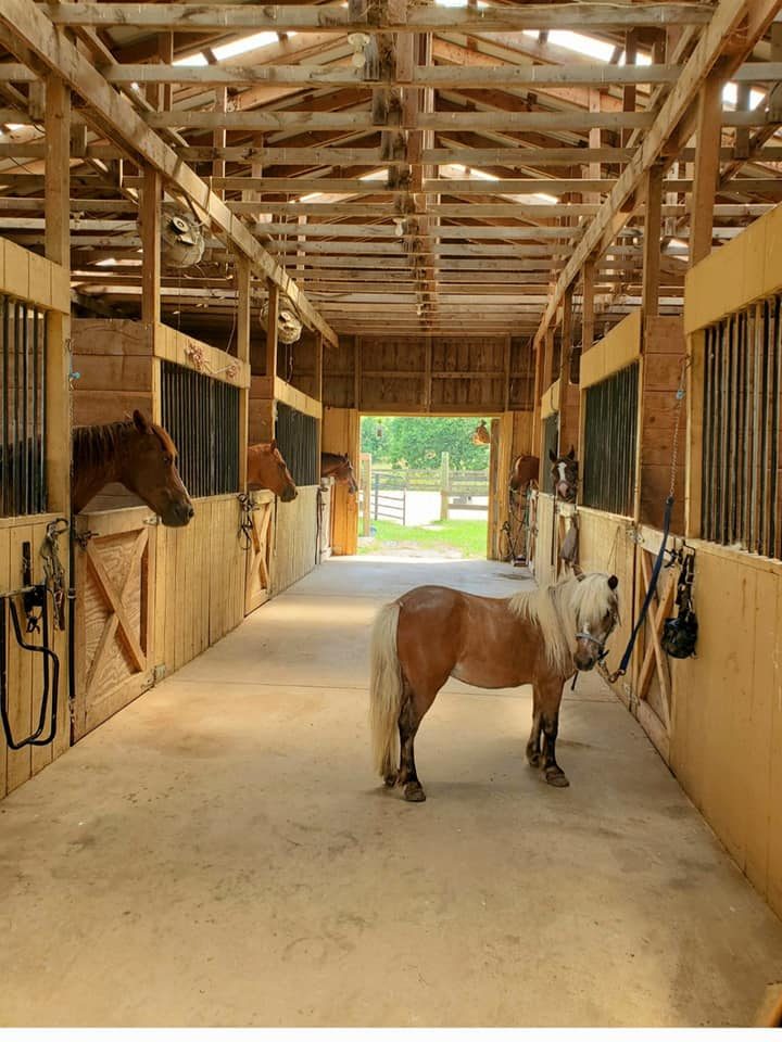 Sienna Rock Stables — photo 46