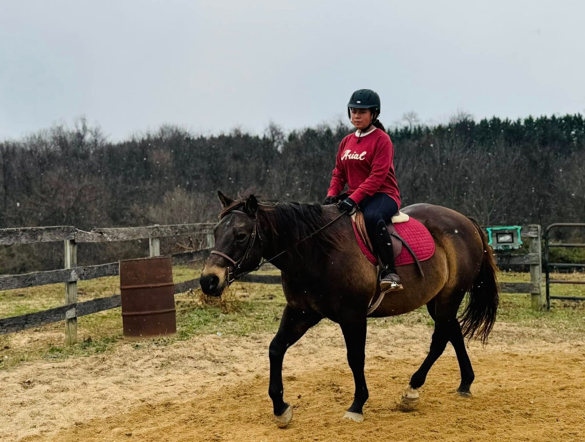 Sienna Rock Stables — photo 47