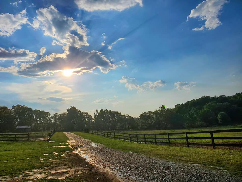 Sienna Rock Stables — photo 49