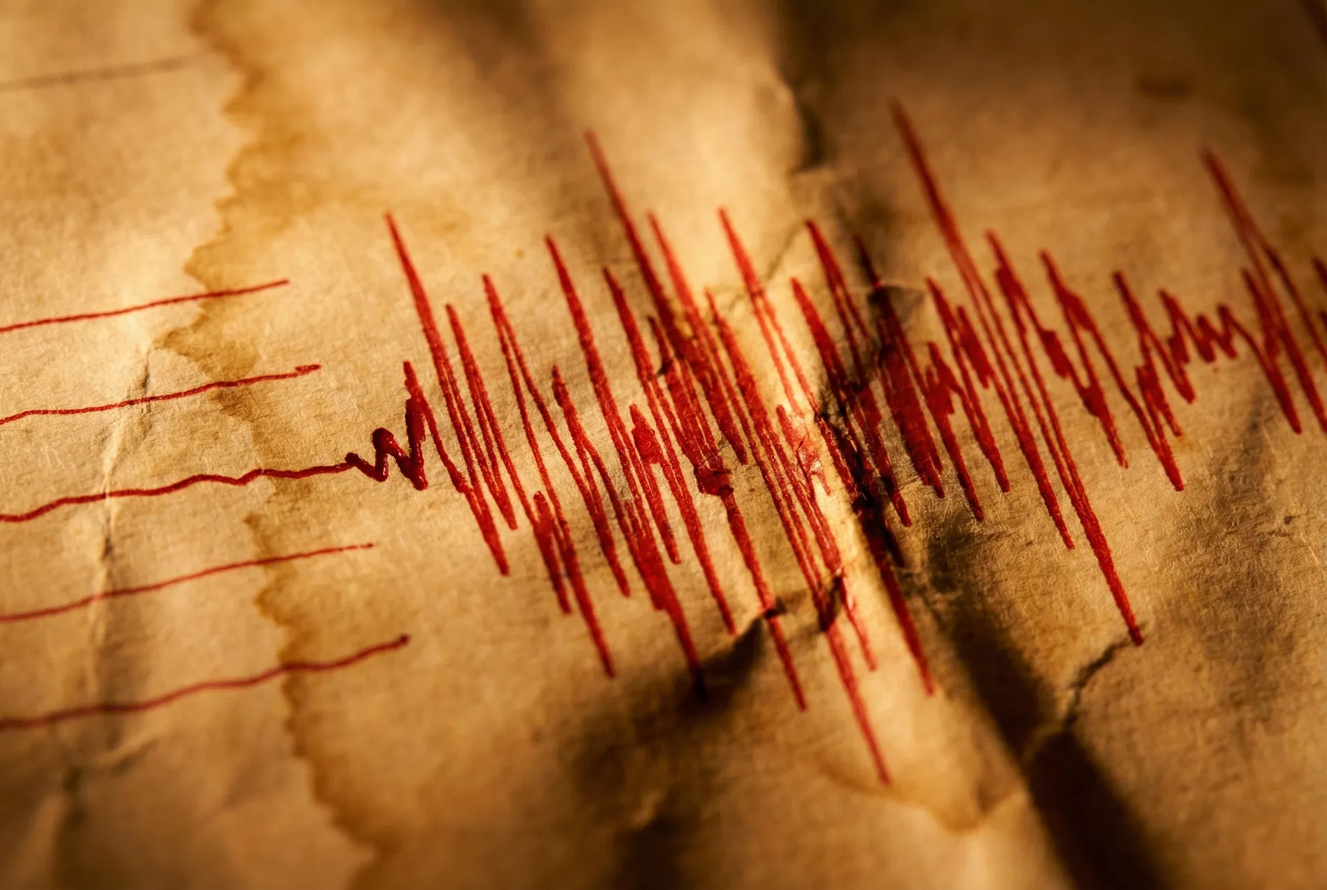 Seismograph readings showing volatility