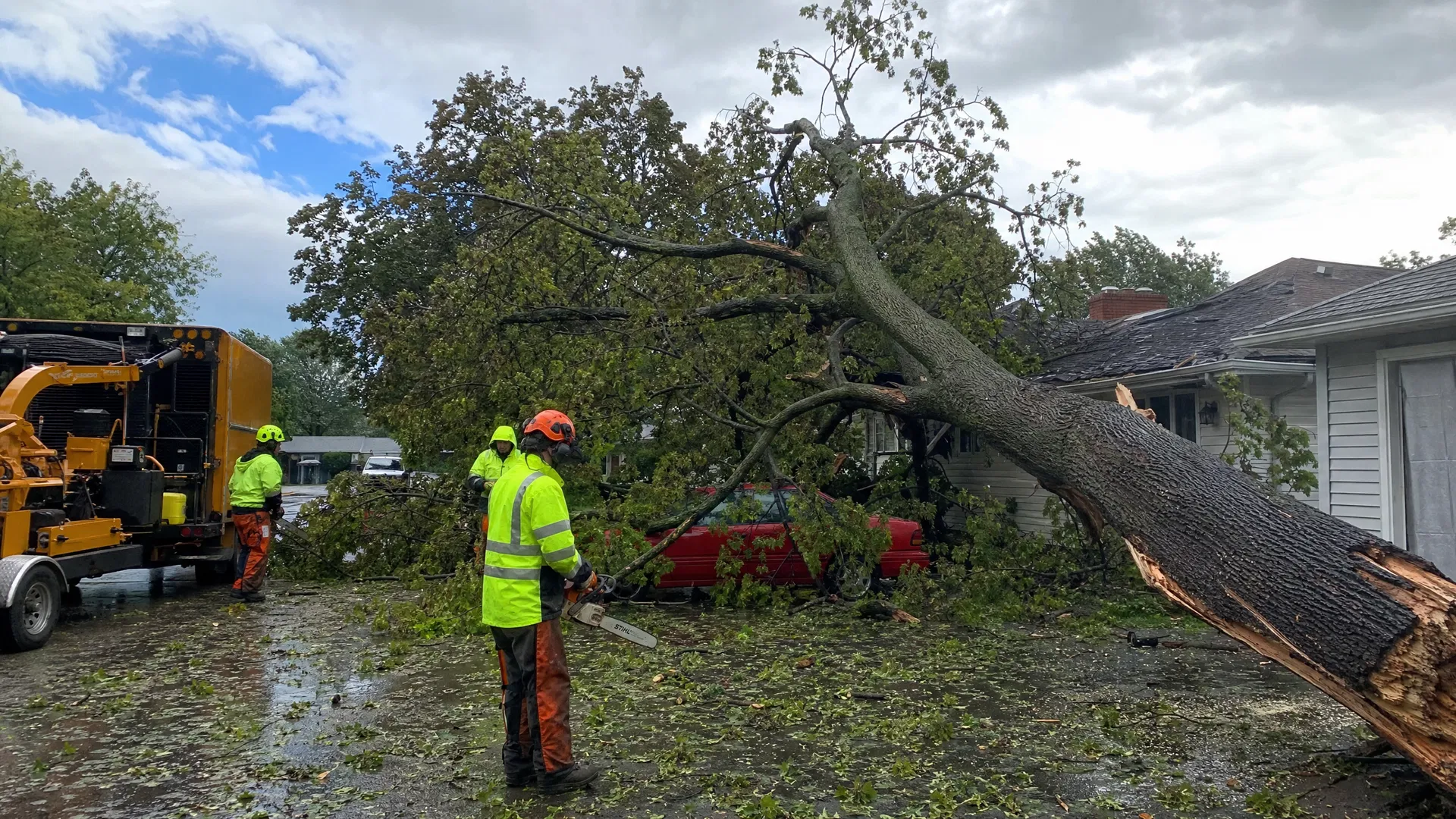Emergency Tree Service
