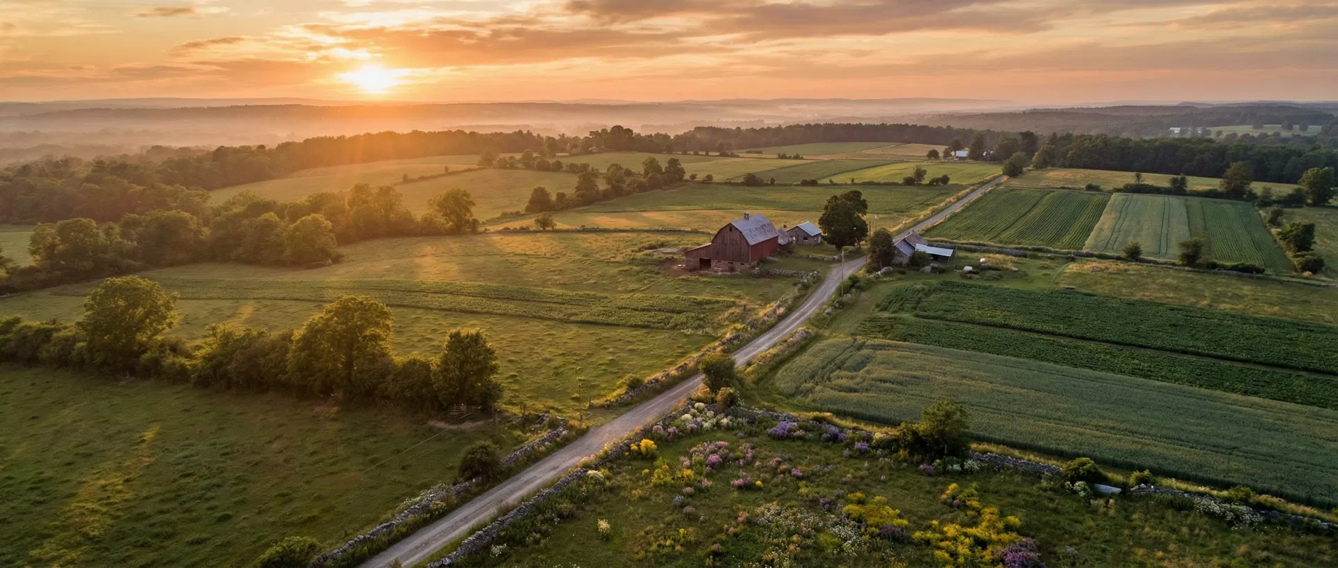 Aerial view of local farms at golden hour