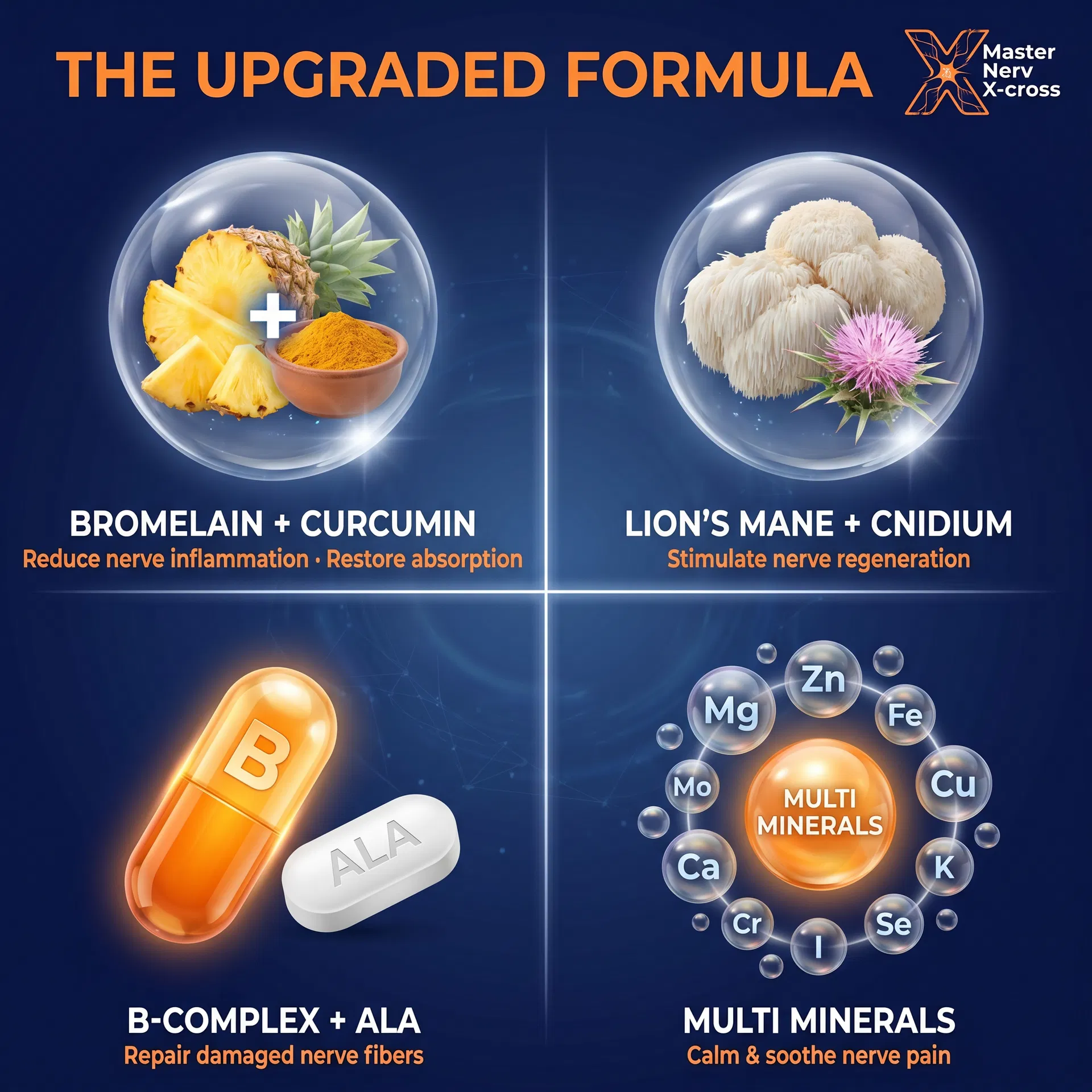 The upgraded formula — Bromelain, Curcumin, Lion's Mane, Cnidium, B-Complex, ALA, Multi Minerals