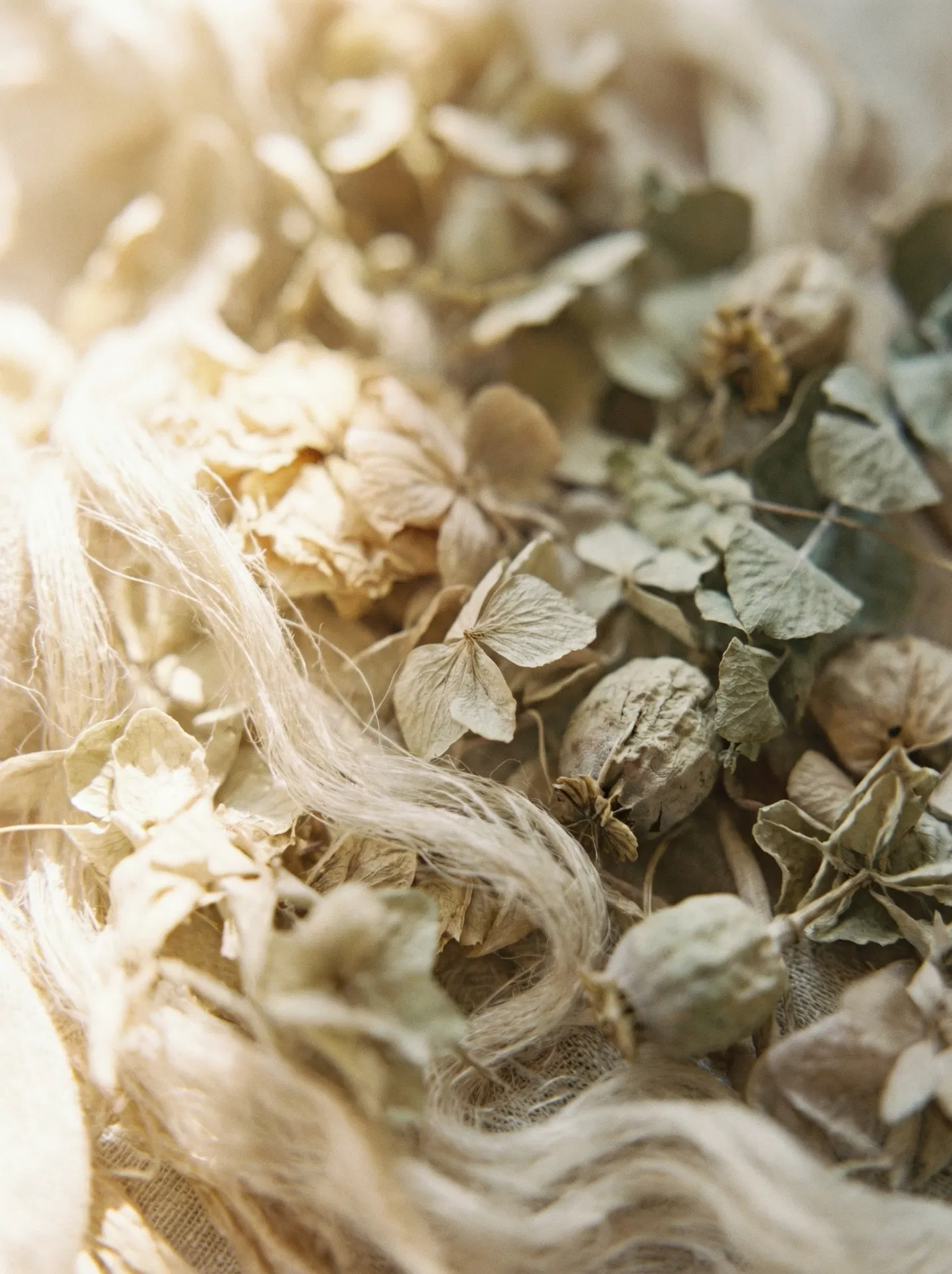 Dried botanicals and natural textures — Dar Alnafas
