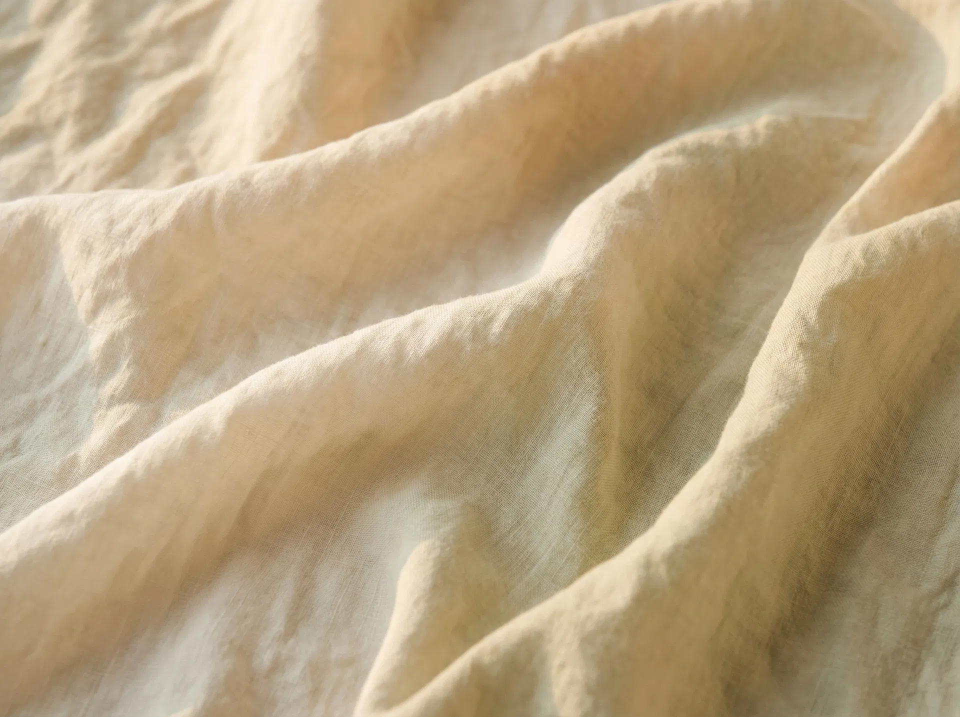 Private 1:1 Sessions