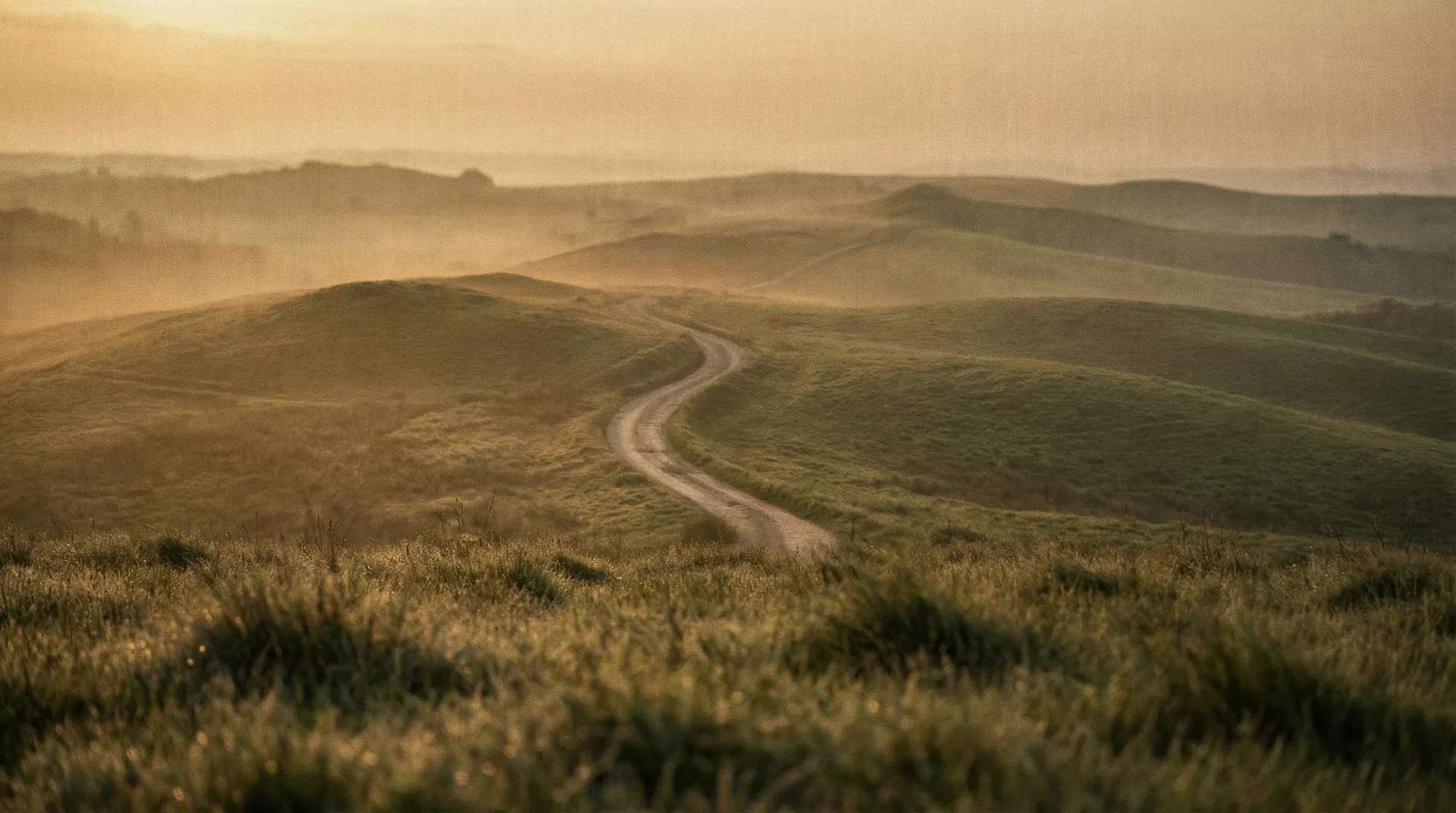 Rolling green hills with a winding path at sunrise