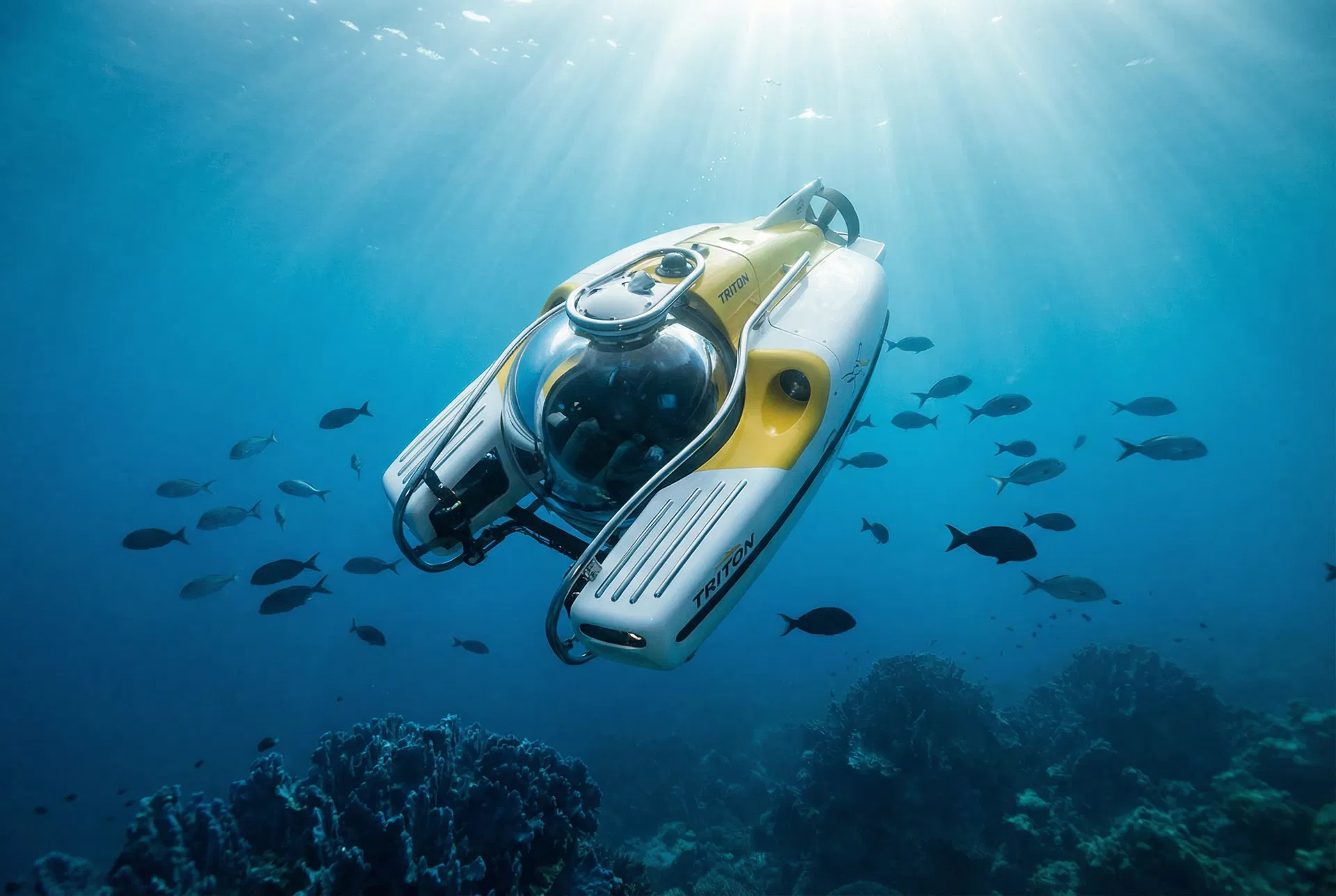 Deep-Sea Submersible Dives