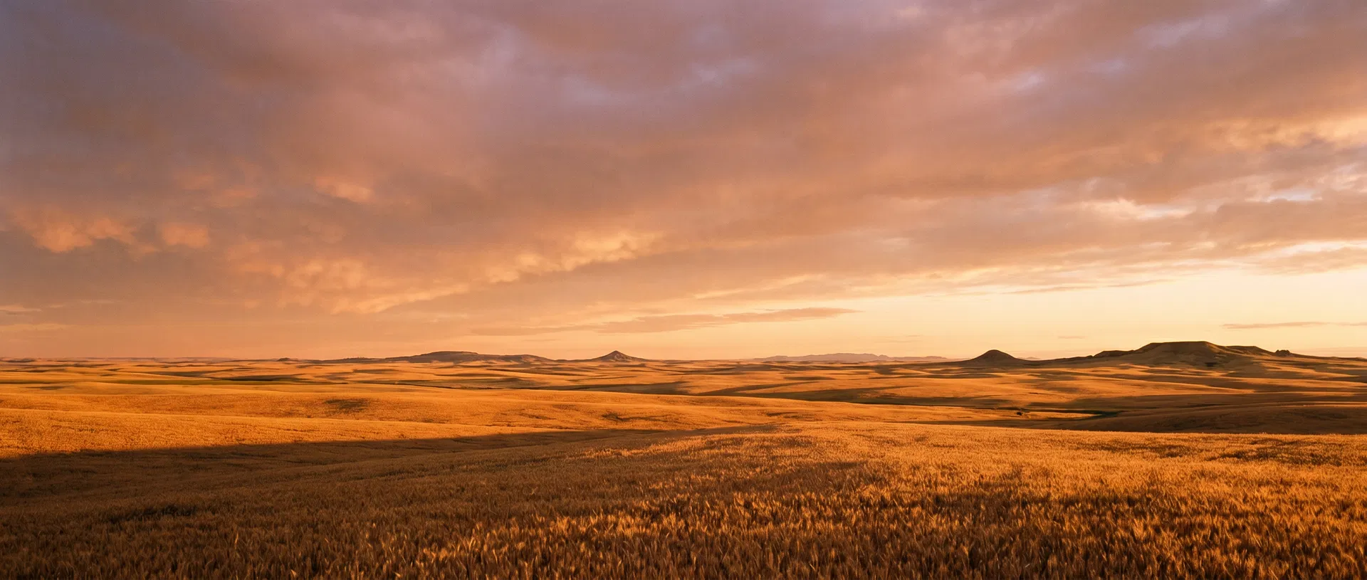 Montana prairie at golden hour