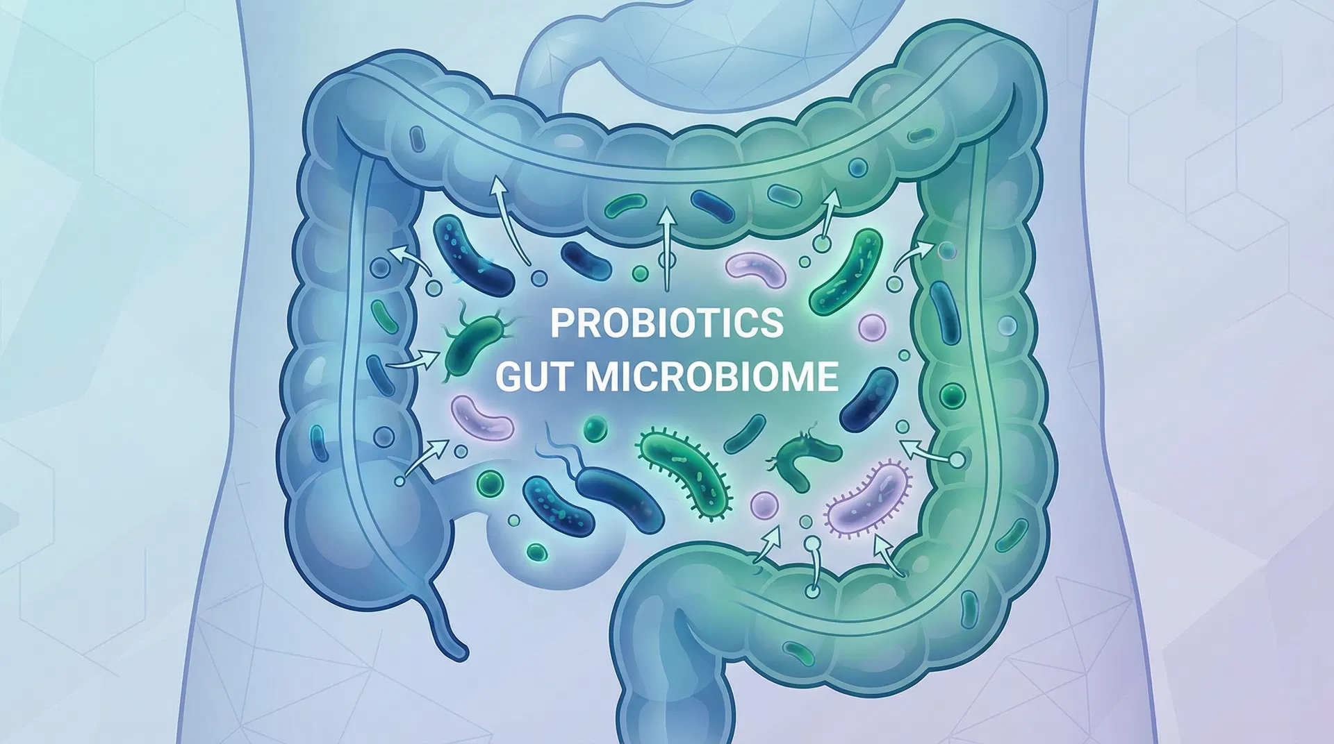 Darmflora aufbauen: Warum dein zweites Gehirn über deinen Fokus entscheidet