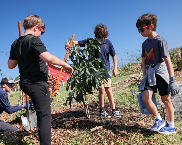 ‘A must-have for the times we live in’: fruit trees planted in a Florida ‘food desert’ counter soaring prices