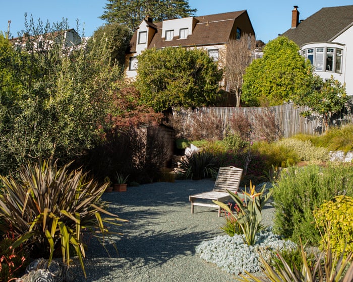 Can culling your garden slow a wildfire? A California city pins its hopes on a contested plan