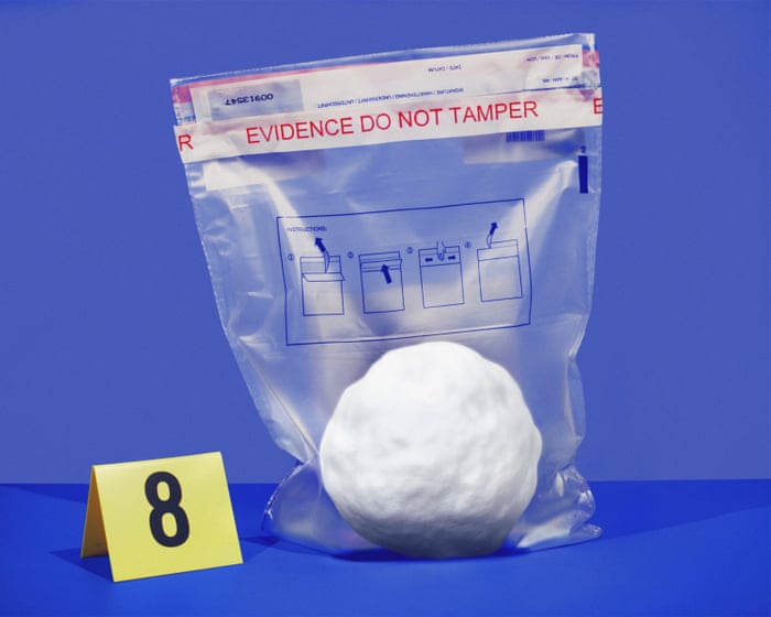 ‘Criminal’ or ‘kids throwing snowballs’? How a viral snow fight provoked Mamdani’s schism with NYPD