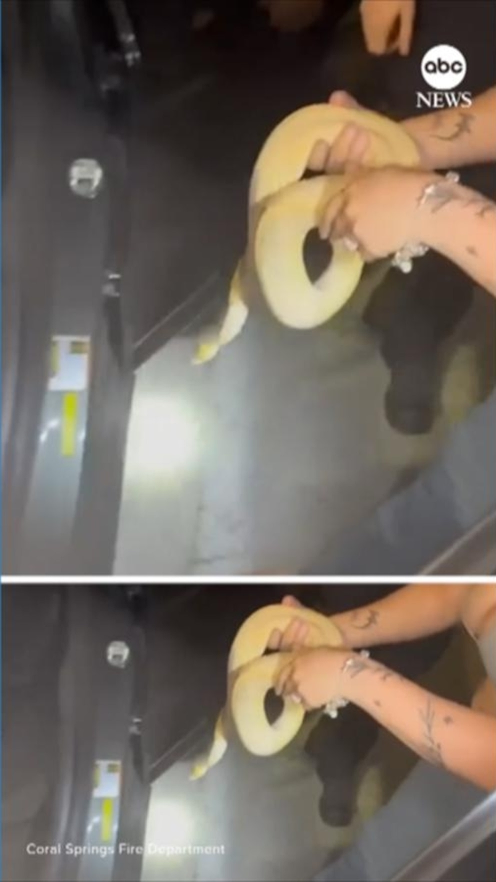 WATCH: Florida firefighters help free pet python from inside car