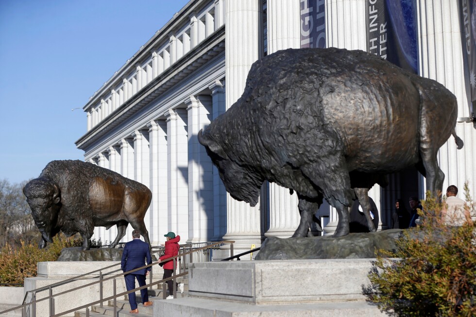 America’s official mammal, the bison, gets a bronze tribute for the country’s 250th birthday - AP News