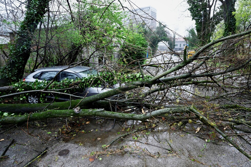 Snow and stormy winds close schools and roads, and cut power in some Balkan countries - AP News