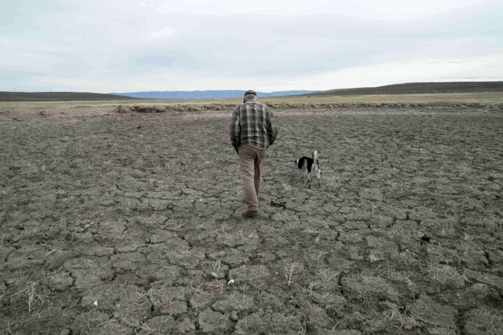 Record US drought sparks worries about fires, water supply and food prices - AP News