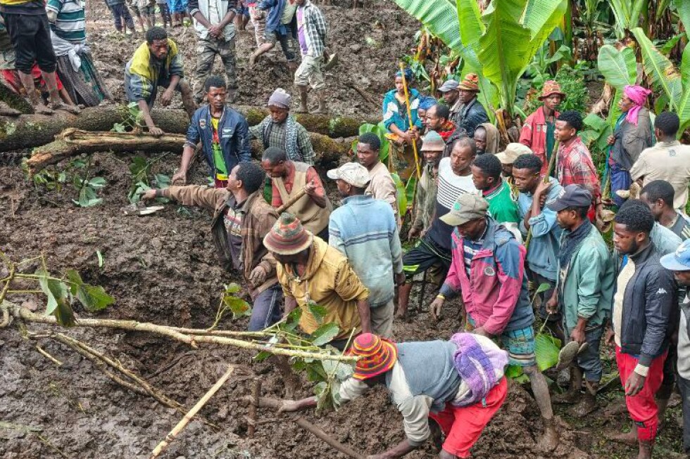 At least 50 people killed and 125 others reported missing after landslides sweep Ethiopia - AP News