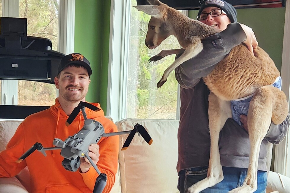 Chesney the kangaroo scales tall fence and flees petting zoo for three days on the lam - AP News
