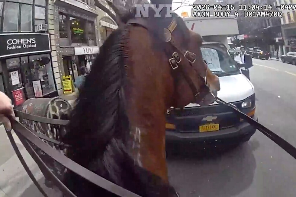 Mounted New York police officer and his horse corner suspected purse snatcher in Manhattan - AP News